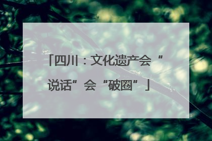 四川：文化遗产会“说话”会“破圈”