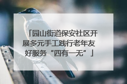 园山街道保安社区开展多元手工践行老年友好服务“四有一无”