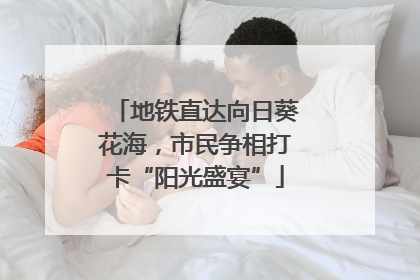 地铁直达向日葵花海，市民争相打卡“阳光盛宴”