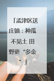 孟津区送庄镇：种瓜不见土 田野更“多金”
