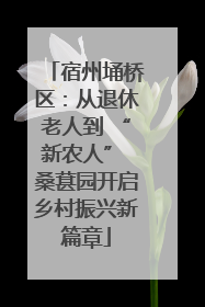 宿州埇桥区：从退休老人到 “新农人” 桑葚园开启乡村振兴新篇章