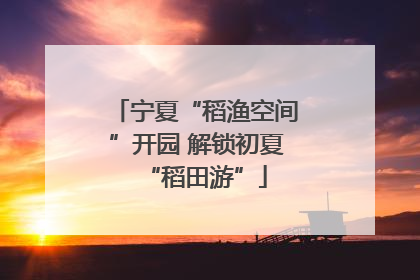 宁夏“稻渔空间”开园 解锁初夏“稻田游”