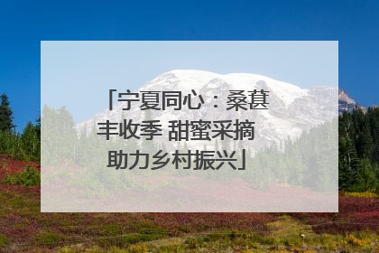 宁夏同心：桑葚丰收季 甜蜜采摘助力乡村振兴