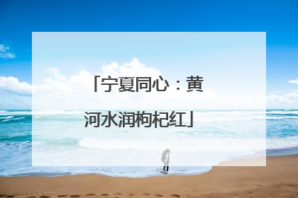 宁夏同心：黄河水润枸杞红