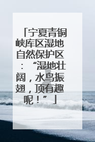 宁夏青铜峡库区湿地自然保护区：“湿地壮阔，水鸟振翅，顶有趣呢！”