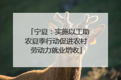 宁夏：实施以工助农夏季行动促进农村劳动力就业增收