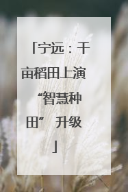 宁远：千亩稻田上演 “智慧种田” 升级
