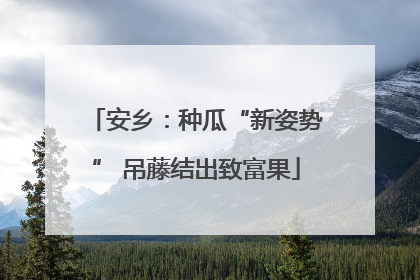安乡：种瓜“新姿势” 吊藤结出致富果
