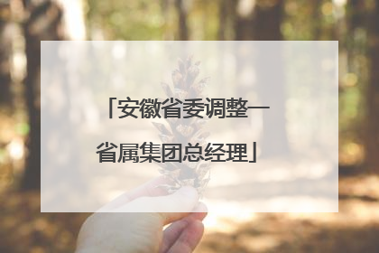 安徽省委调整一省属集团总经理