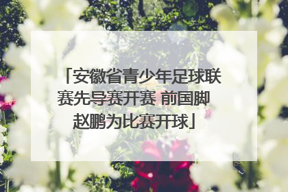 安徽省青少年足球联赛先导赛开赛 前国脚赵鹏为比赛开球