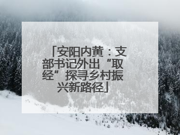 安阳内黄：支部书记外出“取经”探寻乡村振兴新路径