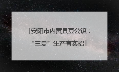 安阳市内黄县豆公镇：“三夏”生产有实招