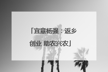 宜章杨强：返乡创业 助农兴农