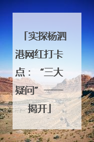 实探杨泗港网红打卡点：“三大疑问”一一揭开