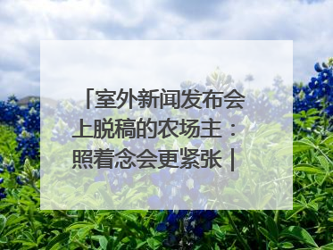 室外新闻发布会上脱稿的农场主：照着念会更紧张｜记者手记