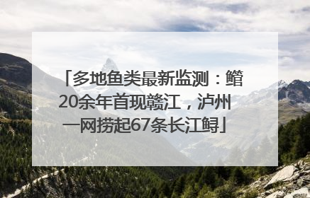 多地鱼类最新监测：鳤20余年首现赣江，泸州一网捞起67条长江鲟