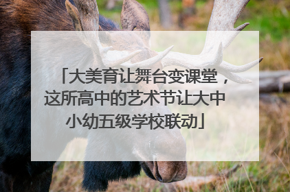 大美育让舞台变课堂，这所高中的艺术节让大中小幼五级学校联动
