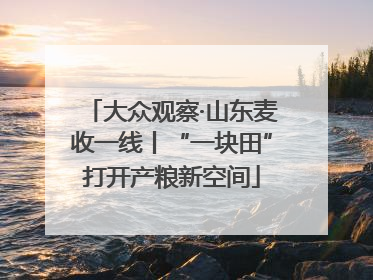 大众观察·山东麦收一线丨“一块田”打开产粮新空间