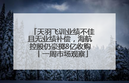天羽飞训业绩不佳且无业绩补偿，海航控股仍豪掷8亿收购丨一周市场观察