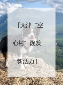 天津“空心村”焕发新活力