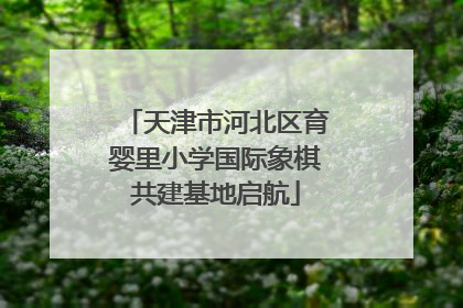 天津市河北区育婴里小学国际象棋共建基地启航