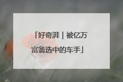 好奇湃｜被亿万富翁选中的车手