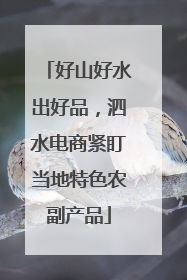 好山好水出好品，泗水电商紧盯当地特色农副产品