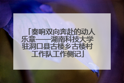 奏响双向奔赴的动人乐章——湖南科技大学驻洞口县古楼乡古楼村工作队工作侧记