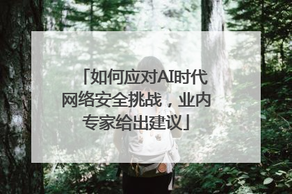 如何应对AI时代网络安全挑战，业内专家给出建议