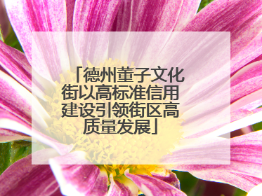 德州董子文化街以高标准信用建设引领街区高质量发展