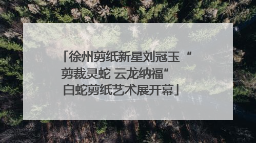 徐州剪纸新星刘冠玉“剪裁灵蛇 云龙纳福” 白蛇剪纸艺术展开幕