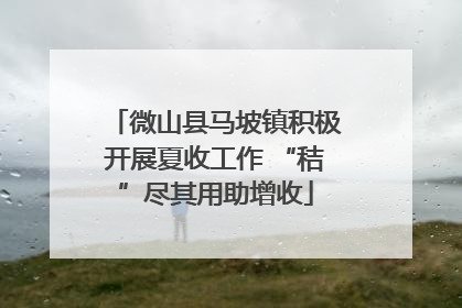 微山县马坡镇积极开展夏收工作 “秸”尽其用助增收