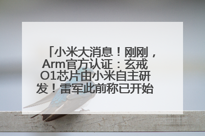 小米大消息！刚刚，Arm官方认证：玄戒O1芯片由小米自主研发！雷军此前称已开始大规模量产