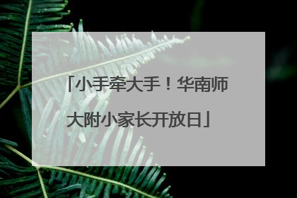 小手牵大手！华南师大附小家长开放日