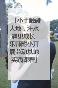 小手触碰大地，汗水遇见成长 乐师附小开展劳动基地实践课程
