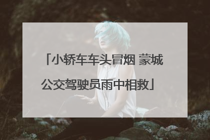小轿车车头冒烟 蒙城公交驾驶员雨中相救