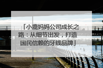 小鹿妈妈公司成长之路：从细节出发，打造国民信赖的牙线品牌