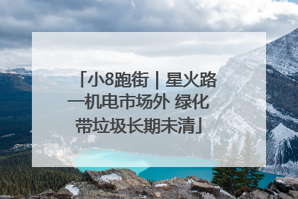 小8跑街｜星火路一机电市场外 绿化带垃圾长期未清