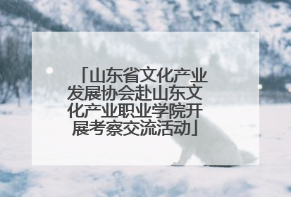 山东省文化产业发展协会赴山东文化产业职业学院开展考察交流活动