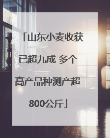 山东小麦收获已超九成 多个高产品种测产超800公斤