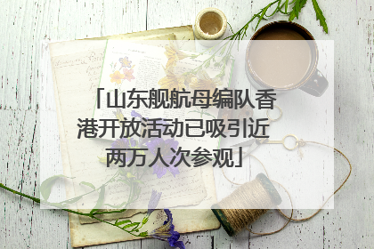 山东舰航母编队香港开放活动已吸引近两万人次参观