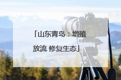 山东青岛：增殖放流 修复生态