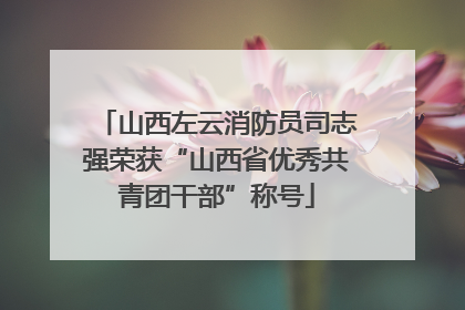 山西左云消防员司志强荣获“山西省优秀共青团干部”称号