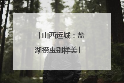 山西运城：盐湖捞虫别样美