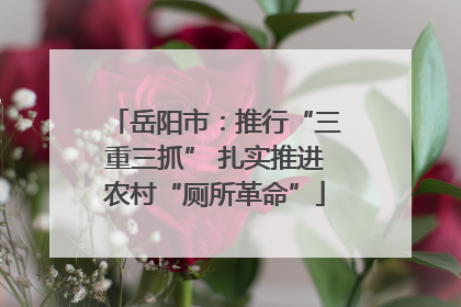 岳阳市：推行“三重三抓” 扎实推进农村“厕所革命”