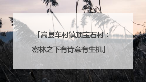 嵩县车村镇顶宝石村：密林之下有诗意有生机
