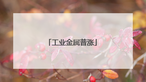 工业金属普涨