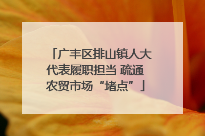 广丰区排山镇人大代表履职担当 疏通农贸市场“堵点”