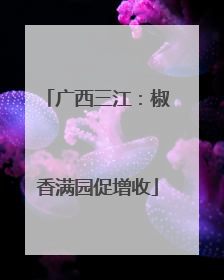 广西三江：椒香满园促增收
