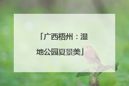 广西梧州：湿地公园夏景美